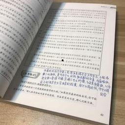 头条写论述文怎么写,如何撰写引人注目的论述文副标题