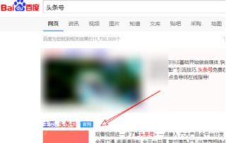 头条小店在哪里看收益,轻松掌握赚钱之道