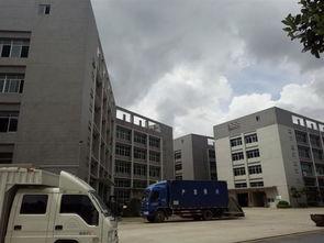 厦门永安新闻头条,聚焦最新动态，共探城市发展新篇章