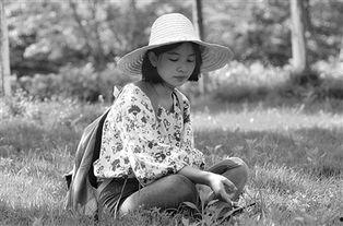 寻百草网红,揭秘网络红人的成长之路