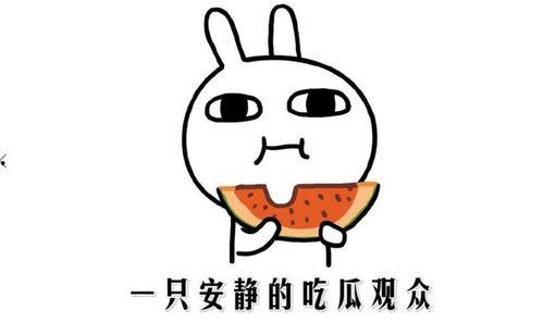 这才是吃瓜正确方式,这才是吃瓜的正确打开方式