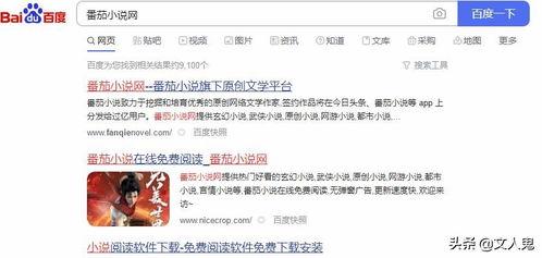 头条里如何搜索小说作者,轻松找到心仪小说作者