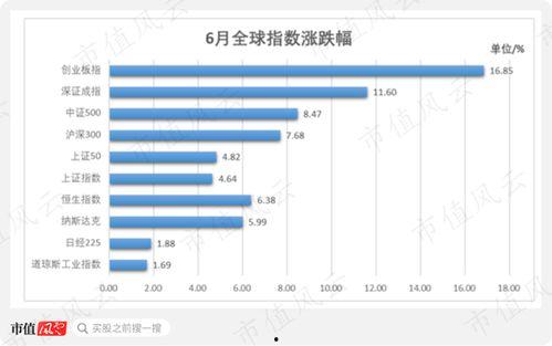 头条的国际板块在哪里,头条国际板块深度解析