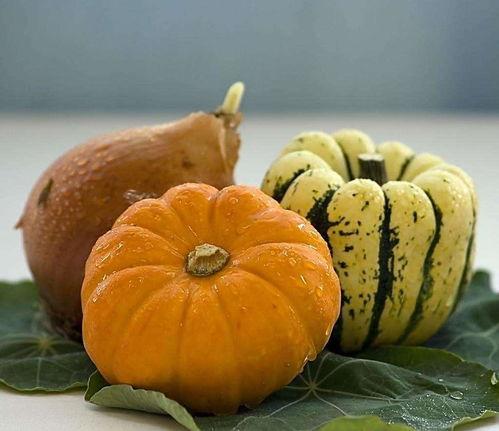 哈克瓜南瓜怎么吃,创意烹饪指南