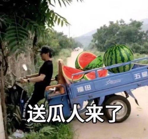 半路停车吃瓜文案,一场意外的美食之旅