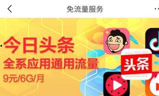 怎么使用头条的流量包,如何利用头条流量包高效吸粉引流