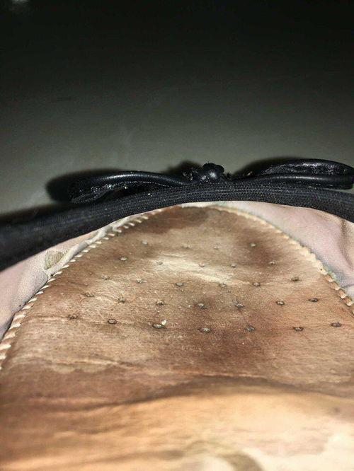 女明星穿过的鞋子臭么,揭秘明星鞋子异味之谜