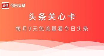 头条是卡,揭秘其独特魅力与市场前景